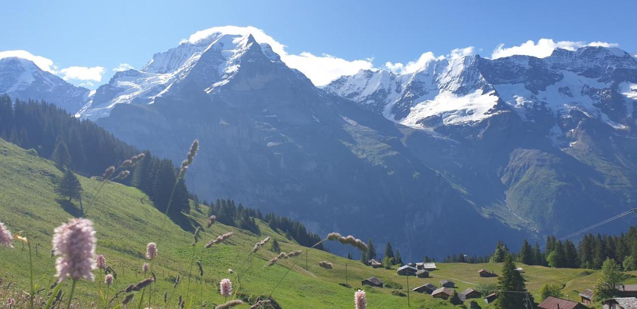 Hotel Restaurant Sonnenberg Mürren Zewnętrze zdjęcie