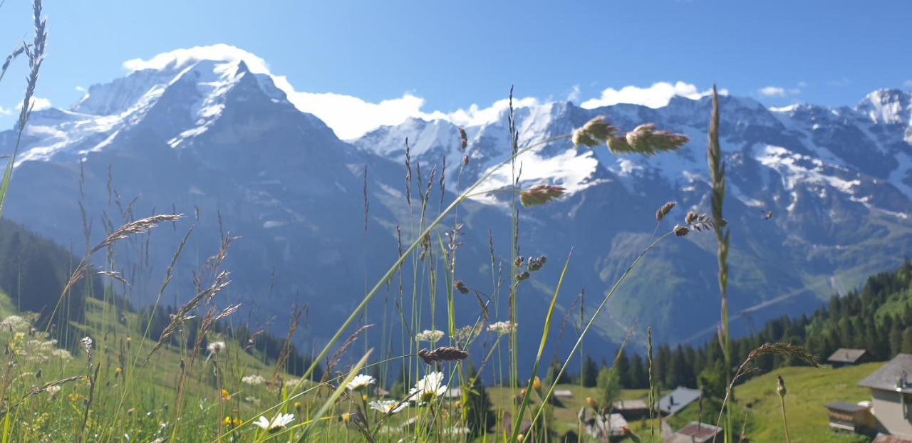 Hotel Restaurant Sonnenberg Mürren Zewnętrze zdjęcie